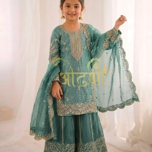 Gestikte Indiase Shalwar Kameez Pakken Pakistaanse Designer Palazzo Jurk Voor Vrouwen, Keuze 1, 36
