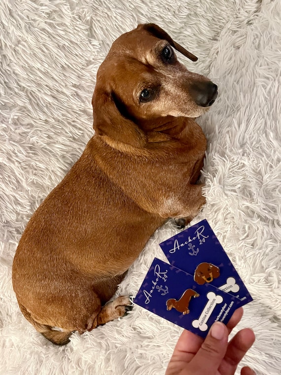 Doxie pin hotsell for sale
