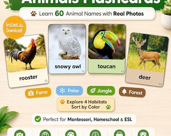 Real Photo Animal Flashcards | Montessori Vocabulary Cards for ESL, Preschool & Homeschool | Printable A4 , US Letter PDF