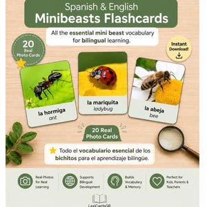 Bilingual Insect Flashcards Spanish English, Bug & Garden Vocabulary Cards, Montessori Nature Study Printable, Kids Learning PDF