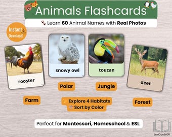 Flashcards met echte foto van dieren | Montessoriwoordenschatkaarten voor ESL, kleuterschool en thuisonderwijs | Afdrukbaar A4, pdf US Letter