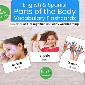 Bilingual Body Parts Flashcards: English-Spanish Learning (Digital Download)