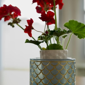 May include: A potted geranium with vibrant red flowers and green leaves. The plant is in a decorative blue and gold scalloped ceramic pot, adding a touch of elegance to the floral arrangement. The pot sits on a wooden surface.