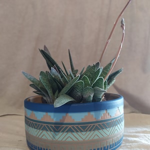 May include: A succulent plant with long, thin stems growing in a blue and brown patterned ceramic pot. The pot has a geometric design with blue, green, and brown stripes.