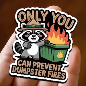 Funny Raccoon Sticker, Only You Can Prevent Dumpster Fires, Cute Meme Vinyl Decal for Laptop, Water Bottle, Gift for Coworker, stickers