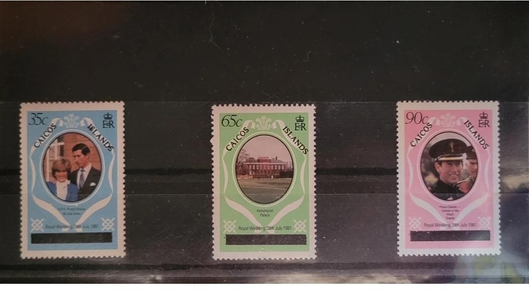 1981年限定版チャールズ皇太子・ダイアナ妃ロイヤルウェディング記念