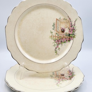 May include: Two cream-colored ceramic plates with a scalloped edge and a silver rim. The plates feature a decorative illustration of an open window with a flower pot, a wooden fence, and climbing pink flowers on the right side of the surface.