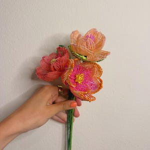 Große französische Perlenblume