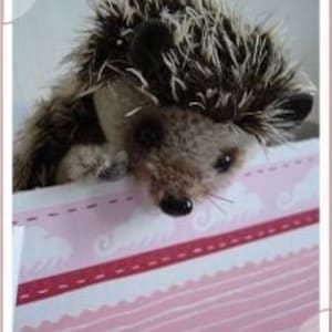 Schnittmuster für 15 cm Igel ""Mecki"" PDF