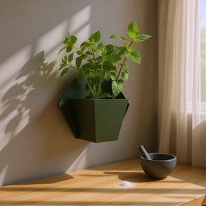 May include: A green geometric wall planter with a leafy green plant. A small mortar and pestle are on a wooden surface, with a small pile of white granules. The planter is mounted on a neutral-coloured wall.