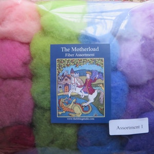 May include: A package of colorful wool roving, labeled "The Motherload Fiber Assortment" and "Assortment 1". The wool is arranged in a rainbow pattern, with pink, green, blue, and purple shades.