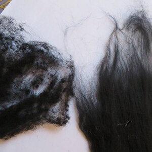 May include: Two samples of black wool fiber. One sample is a loose clump of wool, while the other is a long strand of wool.