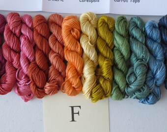 Silk Embroidery Floss Naturally Hand Dyed Six Ply 6 Strand Embroidery Floss ALL Natural Ingredients Group F