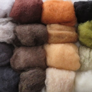 May include: Assortment of 16 different colors of wool roving, including white, brown, orange, black, green, and beige.