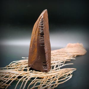 May include: A dark brown, triangular-shaped wooden sculpture with a pointed top. The surface features a series of horizontal, carved notches along one edge, revealing a lighter, golden-brown wood grain texture on the flat side of the object.