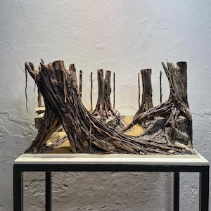 Aquarium driftwood aquascape cave hardscape reptile driftwood fish tank plant decor