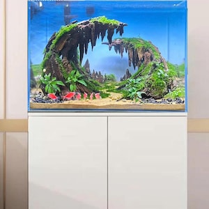 Aquarium aquascape driftwood bonsai hardscape plants wood cave bonsai aquascaping real fish tank decoration