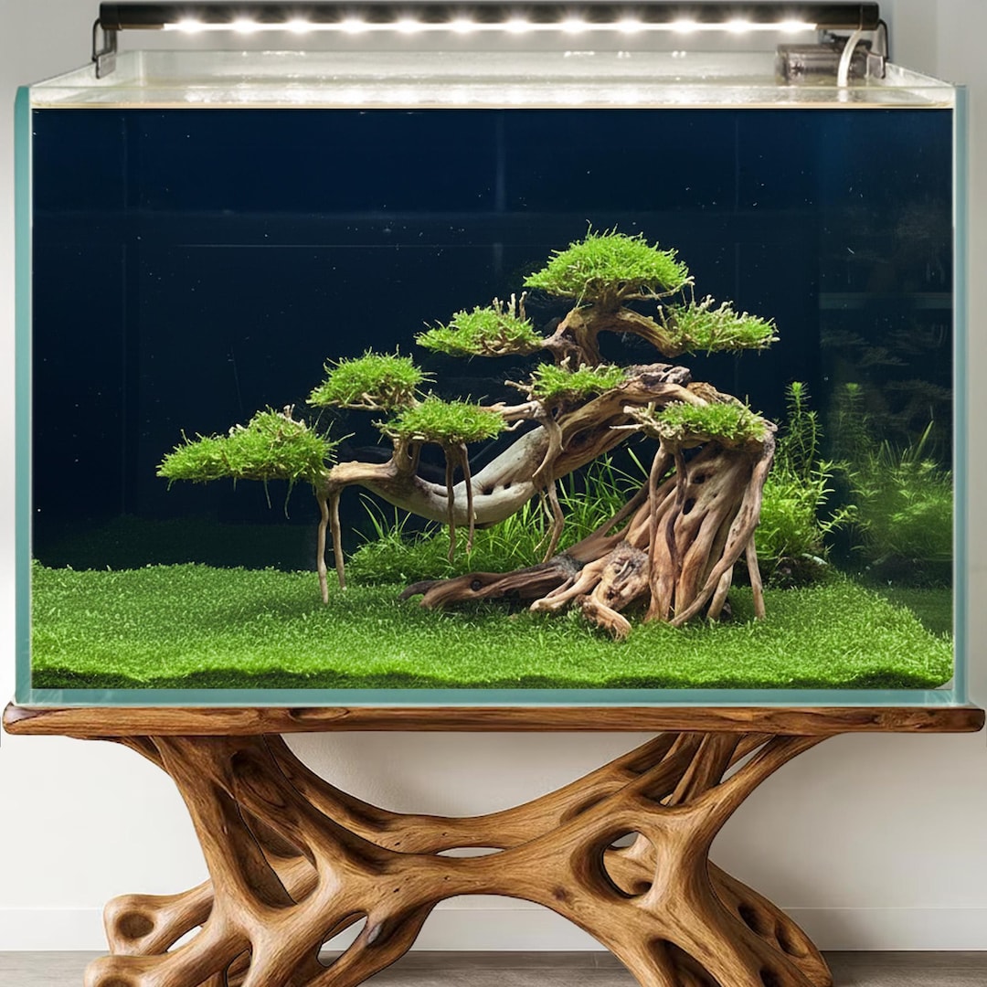 Driftwood Bonsai Tree Aquascape Decor Natural Aquarium Hardscape for ...