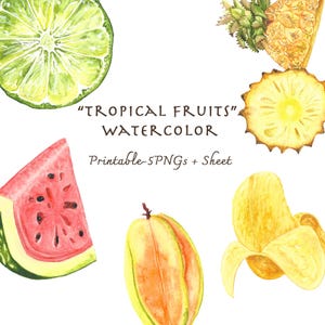 Tropical Fruit Watercolor Sticker Sheet – Printable PNG Files – Hand Painted Digital Download