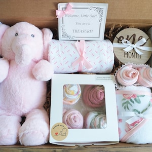 Baby Shower Gift, Deluxe Baby Gift Box, Baby Girl Set, Baby Boy Gift Basket, Swaddle Blanket, Milestone Photo Prop, Bodysuits, Towel, Toy