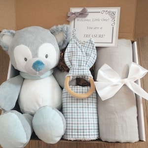 May include: A baby gift set in a cardboard box. The set includes a gray and blue plush bear, a checkered teether, a soft blanket tied with a white bow, and a card that reads "Welcome, Little One! You are a TREASURE!"