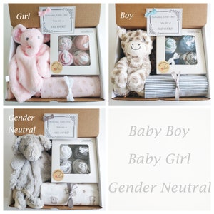 Babypartygeschenk, Babymädchengeschenk, Babyjungengeschenk, Geschlechtsneutrales Geschenk, Babygeschenkkorb, Decke, Bodys, Lätzchen, Waschlappen, Kuscheltier