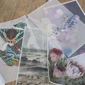 May include: A collection of translucent paper prints featuring various designs. The prints showcase images of butterflies, ocean waves, and protea flowers. The color palette includes shades of blue, green, pink, and white, with a soft, ethereal quality.