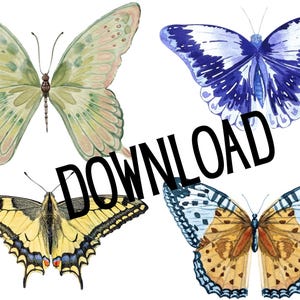 May include: Watercolor illustration of four butterflies in various colors. The butterflies include shades of green, yellow, blue, and orange. The word "DOWNLOAD" is printed in large black letters across the image.