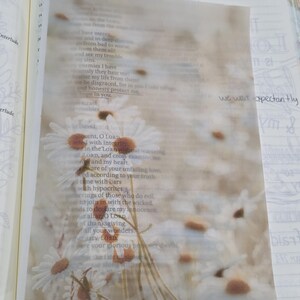 May include: A translucent vellum sheet featuring a printed image of white daisies with yellow centers, layered over an open book page with visible text. The phrase "we wait expectantly" is printed in black ink on the right side of the sheet.