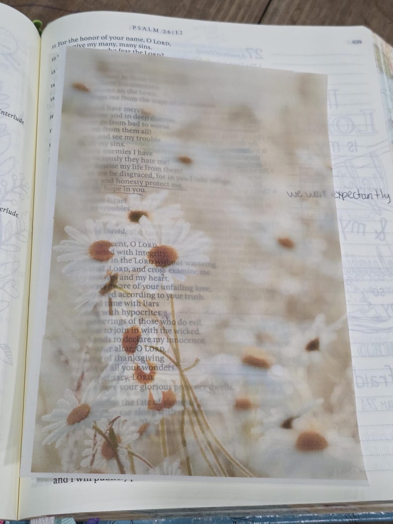 May include: A translucent vellum sheet featuring a printed image of white daisies with yellow centers, layered over an open book page with visible text. The phrase "we wait expectantly" is printed in black ink on the right side of the sheet.
