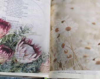 May include: An open book with thin, translucent pages featuring floral illustrations. The left page shows pink protea flowers, while the right page displays white daisies. The text of Psalm 24 and 25 is visible through the semi-transparent paper.