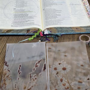 May include: An open Bible with colorful page tabs and ribbon bookmarks, positioned above two translucent vellum sheets. The left sheet features a print of dried grasses, while the right sheet displays a pattern of white daisy flowers with yellow centers.