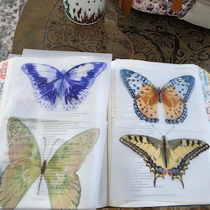 May include: Four translucent vellum sheets featuring detailed butterfly illustrations placed on an open book. The butterflies include a large purple and white specimen, a tan and blue patterned one, a green and yellow design, and a yellow swallowtail.