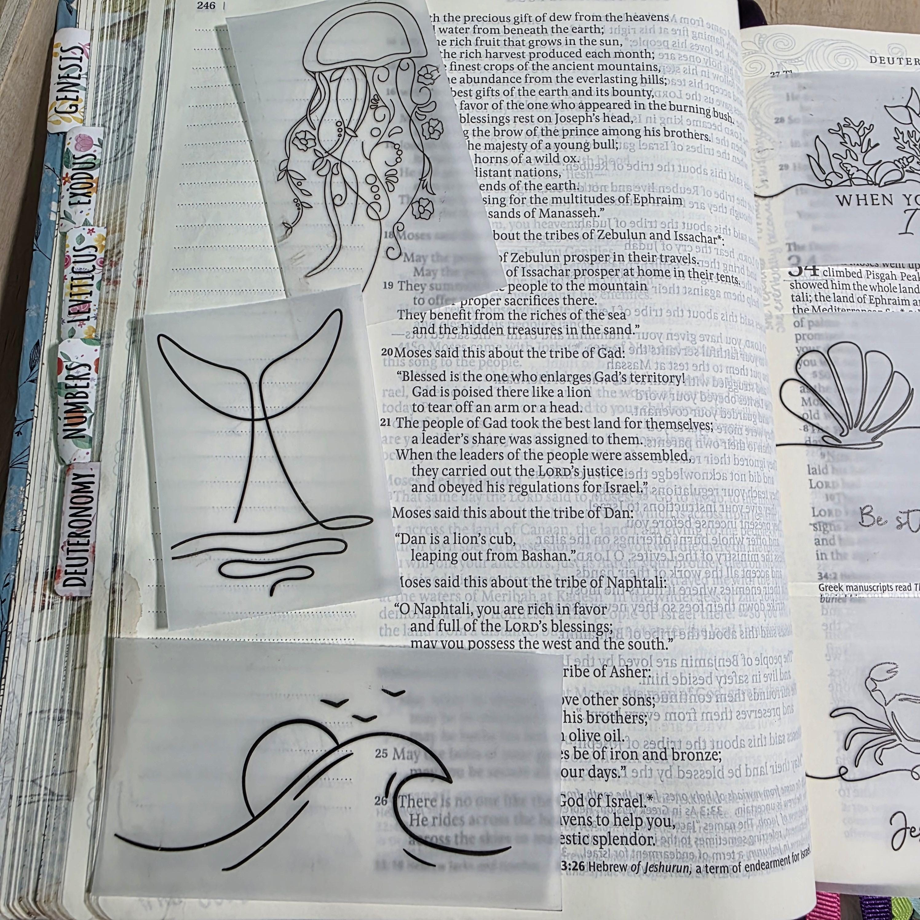 Ocean Themed Line Art Bible Tip-ins Vellum | Bible Journaling Insert ...