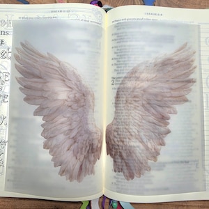May include: Open book with a translucent overlay featuring a pair of angel wings. The wings are light beige with detailed feathering, positioned across the open pages. Text from Isaiah is visible on the pages.