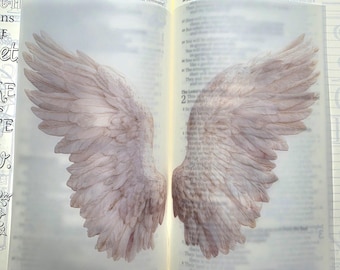 May include: A translucent vellum page insert featuring a detailed illustration of two large, light-colored feathered wings. The wings are positioned symmetrically across the open pages of a book, with visible text from the book showing through.