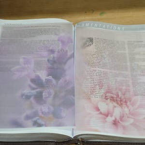 Könnte beinhalten: Ein aufgeschlagenes Buch mit zwei halbtransparenten Pergamentauflagen, die florale Motive zeigen. Die linke Seite zeigt violette Lavendelblüten, während die rechte Seite eine rosa Blume und die Überschrift LAMENTATIONS am oberen Rand zeigt.