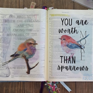 May include: An open book with printed text and two bird illustrations. The left page features a bird on a branch with the text THE BIRDS NEST BESIDE THE STREAMS AND SING AMONG THE BRANCHES OF THE TREES. The right page shows a bird with the text YOU are worth MORE THAN SPARROWS.