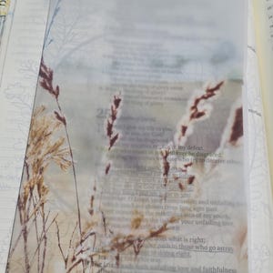 May include: A rectangular, semi-transparent vellum sheet featuring a printed botanical illustration of dried brown grasses and wheat stalks. The overlay is placed directly on top of an open book page containing printed text from the Bible.