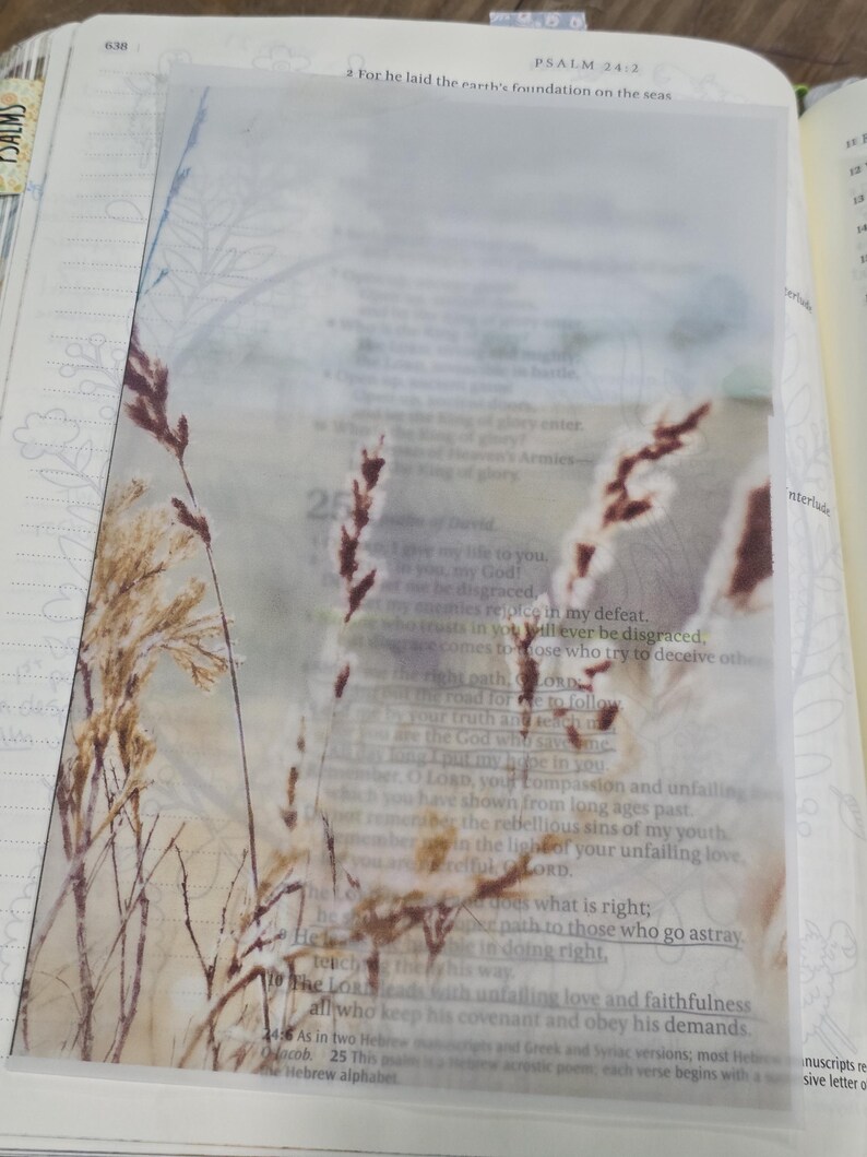 May include: A rectangular, semi-transparent vellum sheet featuring a printed botanical illustration of dried brown grasses and wheat stalks. The overlay is placed directly on top of an open book page containing printed text from the Bible.