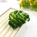 Green Leaf Hair Clip, Monstera Leaf Hair Claw, Big Boho Hair Clamp, Hair Accessories, Acetate Hair Clip, Gift For Plant Lover, Gift For Her product logo