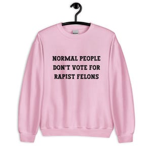 Normal People Dont Vote for Rapist Felons Sweatshirt, I Didnt Vote for Him Sweatshirt, I Voted for Her, Dont Blame Me Sweatshirt, Anti Trump