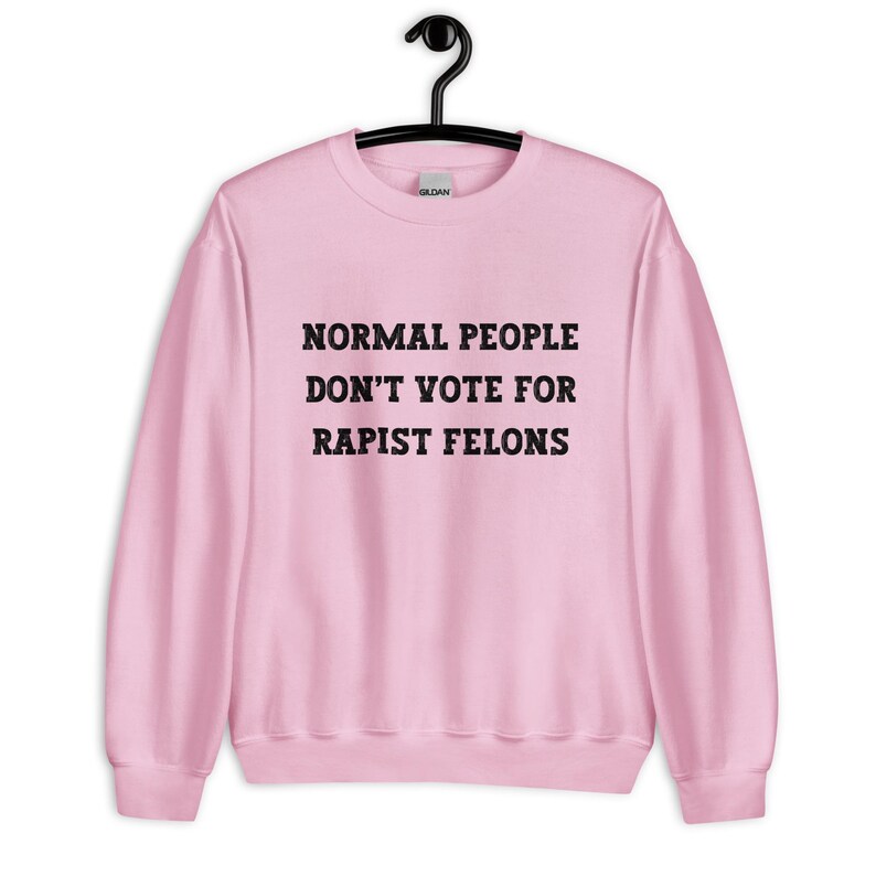 Normal People Dont Vote for Rapist Felons Sweatshirt, I Didnt Vote for Him Sweatshirt, I Voted for Her, Dont Blame Me Sweatshirt, Anti Trump