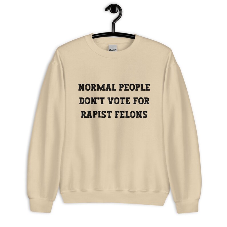 Normal People Dont Vote for Rapist Felons Sweatshirt, I Didnt Vote for Him Sweatshirt, I Voted for Her, Dont Blame Me Sweatshirt, Anti Trump