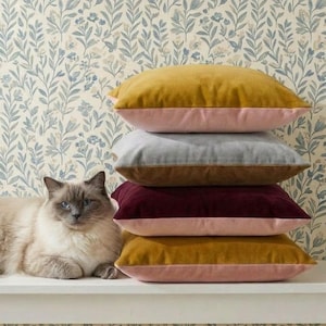 May include: A stack of five velvet throw pillows in shades of gold, pink, gray, and burgundy. A fluffy cat with blue eyes rests on a white shelf in front of a floral wallpaper background.