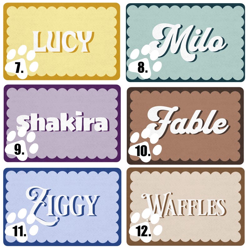 Personalized Pet Food Mat Customized Dog Feed Station Retro Cat Lovers Gift Non Slip Pet Placemat With Name image 4