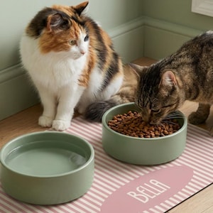 How to create a cute and organized pet feeding station with a personalized pet placemat, featuring custom name design and soft pastel stripes. Perfect for cat and dog owners looking for stylish, non slip and easy to clean feeding mats.