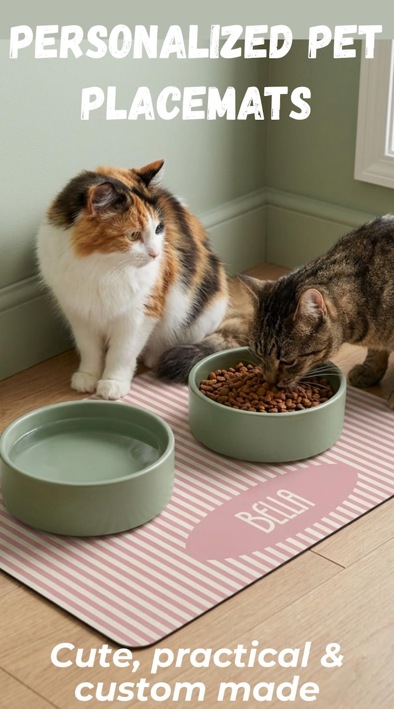 How to create a cute and organized pet feeding station with a personalized pet placemat, featuring custom name design and soft pastel stripes. Perfect for cat and dog owners looking for stylish, non slip and easy to clean feeding mats.