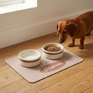 Custom name pet placemat with pastel stripe pattern, non slip waterproof feeding mat for cats and dogs, designed to keep bowls in place and protect floors from spills and mess. Available in 7 colors and 2 sizes, perfect for home organization, stylish pet setup, cat feeding mat, dog food mat, personalized pet gift idea.