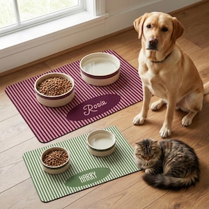 May include: Two rectangular pet feeding mats with striped patterns and matching ceramic bowls. The larger burgundy mat features the name Rosie in script, while the smaller green mat displays the name Harry in block letters. A dog and cat are present.